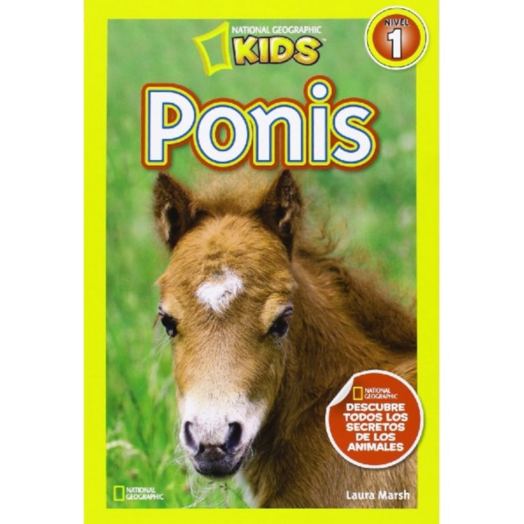 Ponis Nivel 1