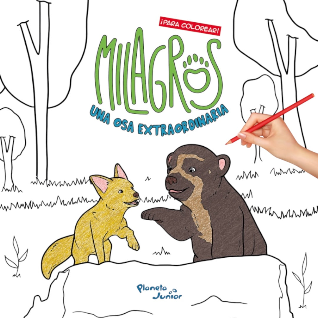 Cuento Milagros, una osa extraordinaria. ¡Para colorear!