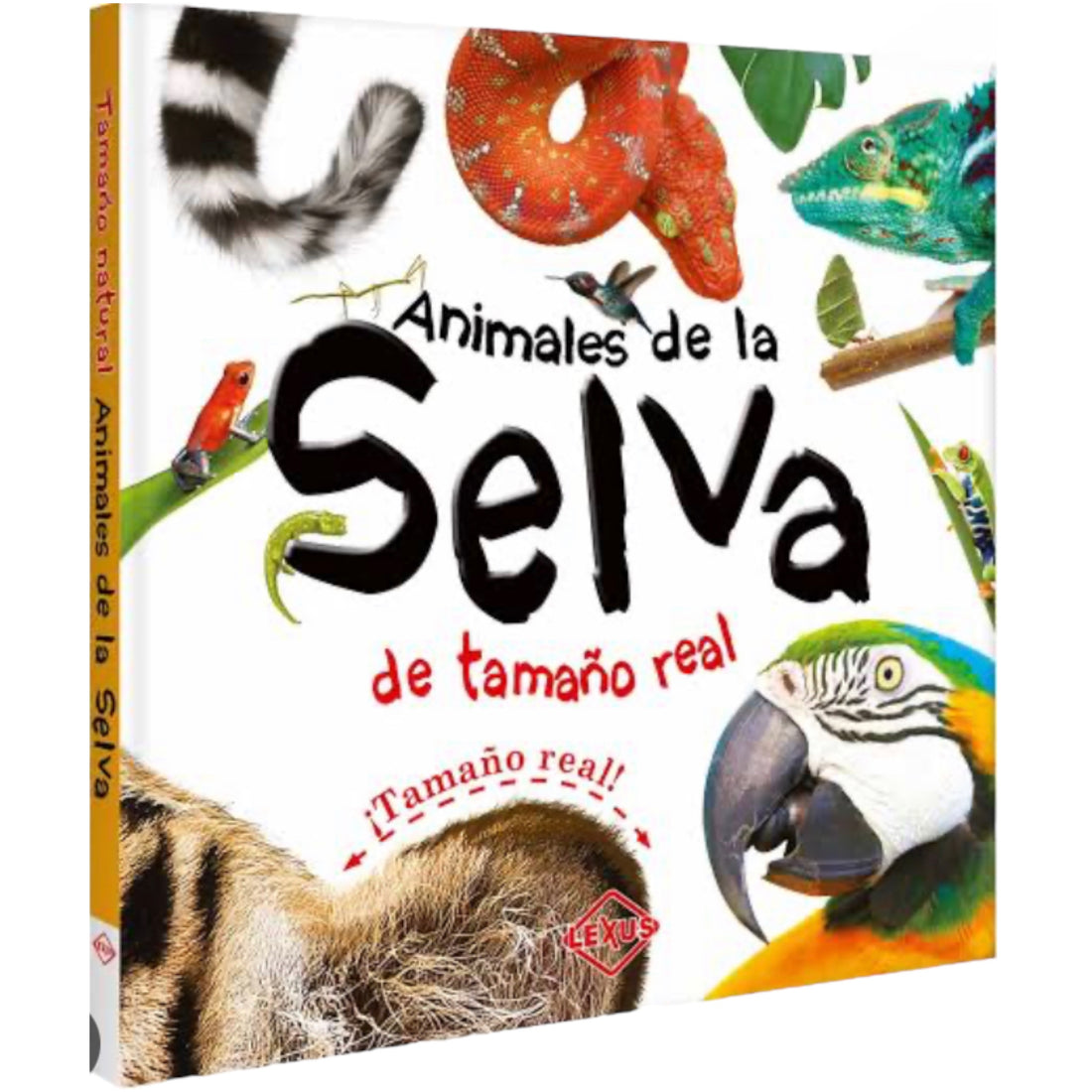 Animales de la Selva