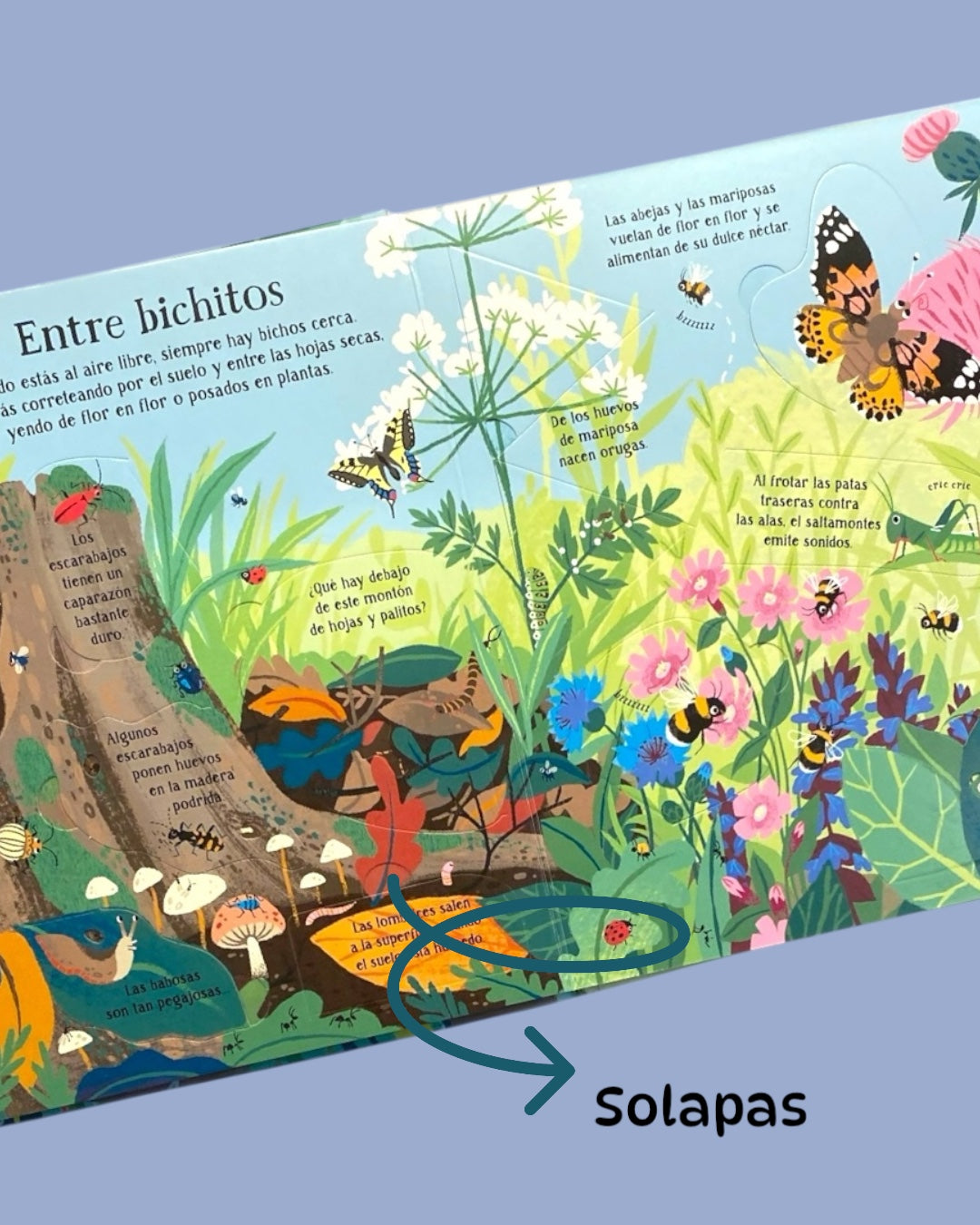 La Naturaleza - Mira debajo con solapas