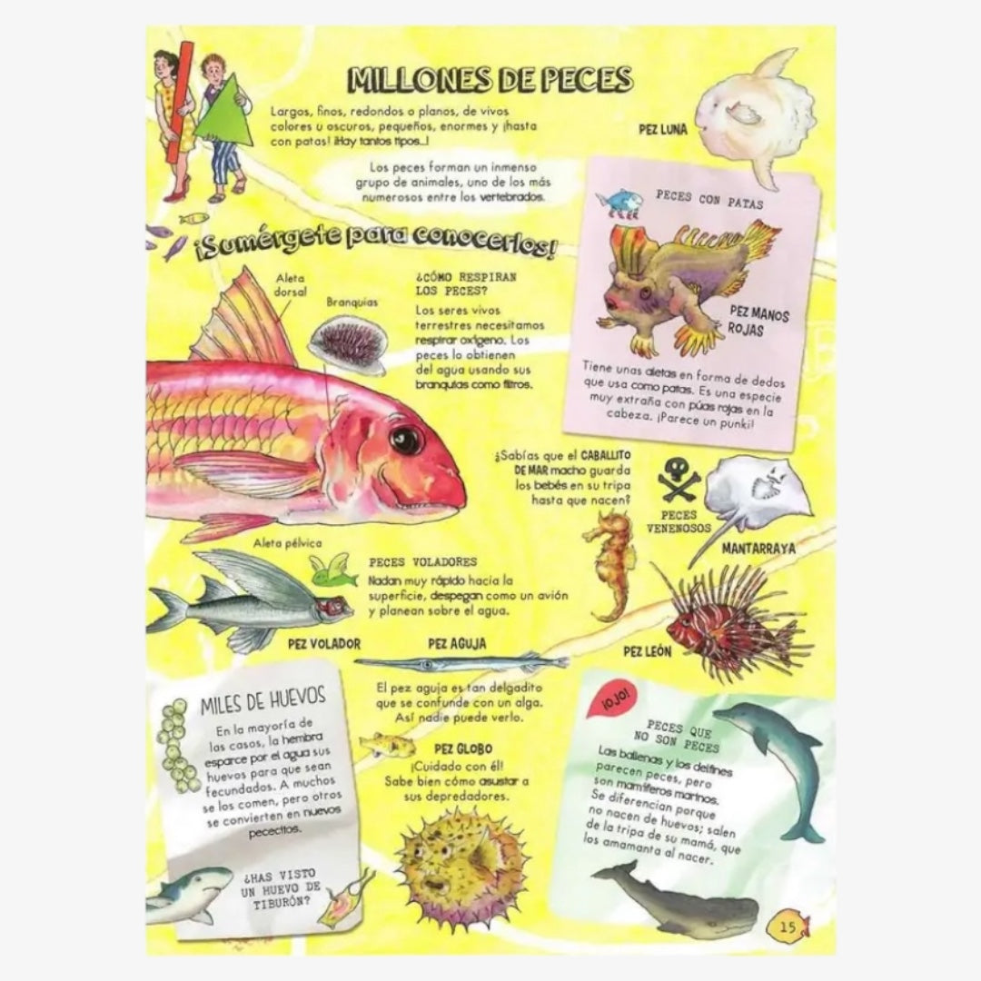 Descubre Mares y Océanos