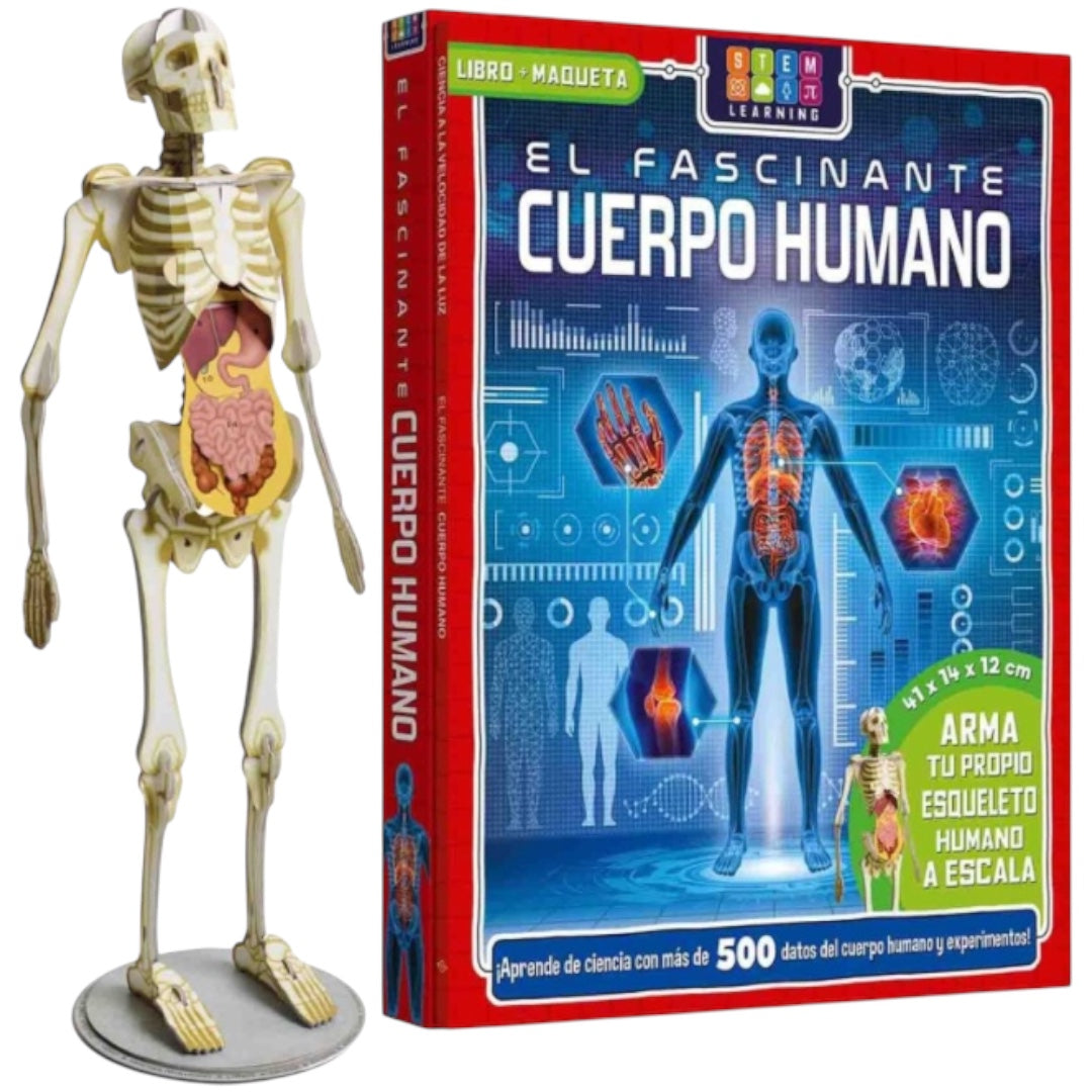 El Fascinante Cuerpo Humano