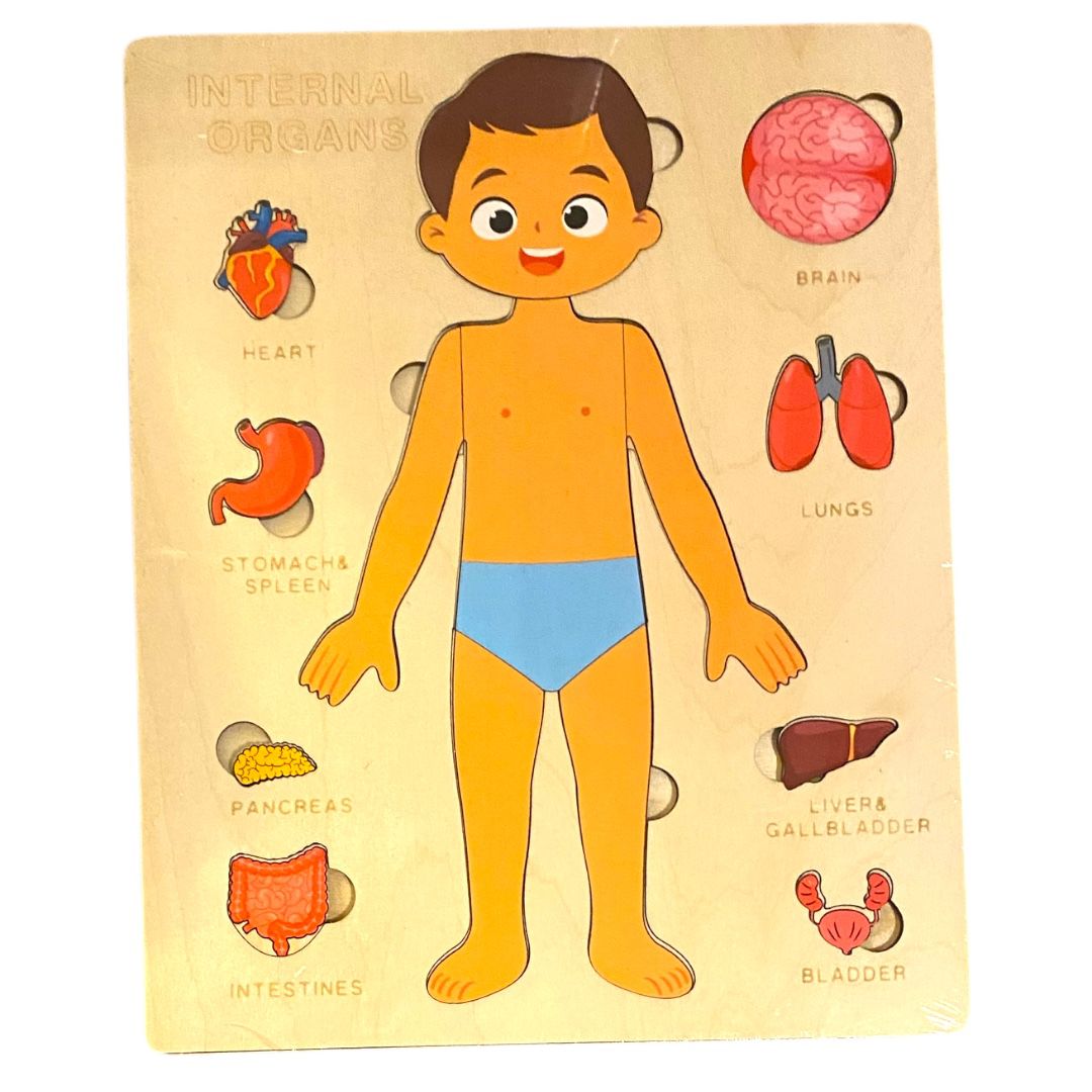 Rompecabeza órganos internos en madera de NIÑO