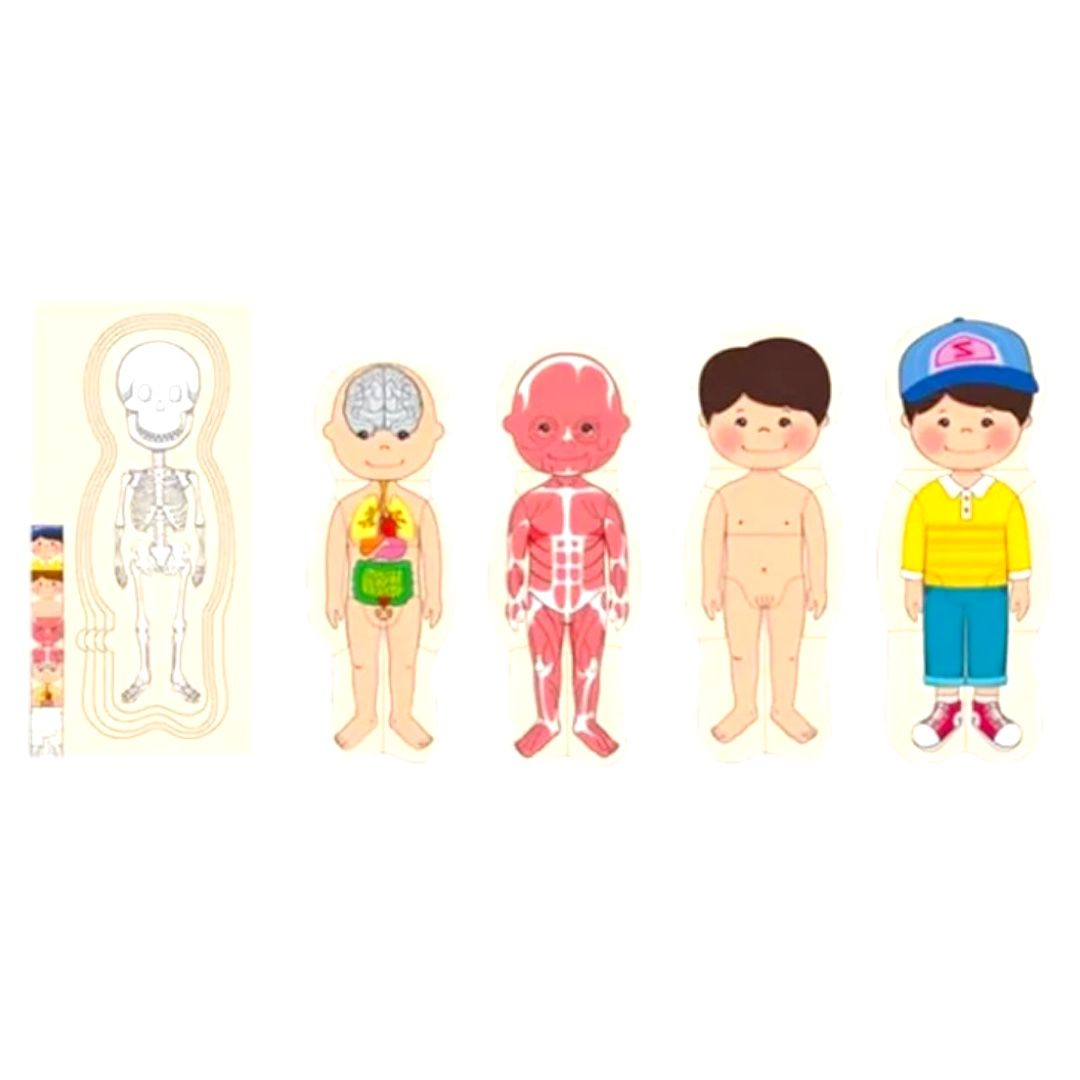Rompecabezas del Cuerpo Humano 5 en 1 niño