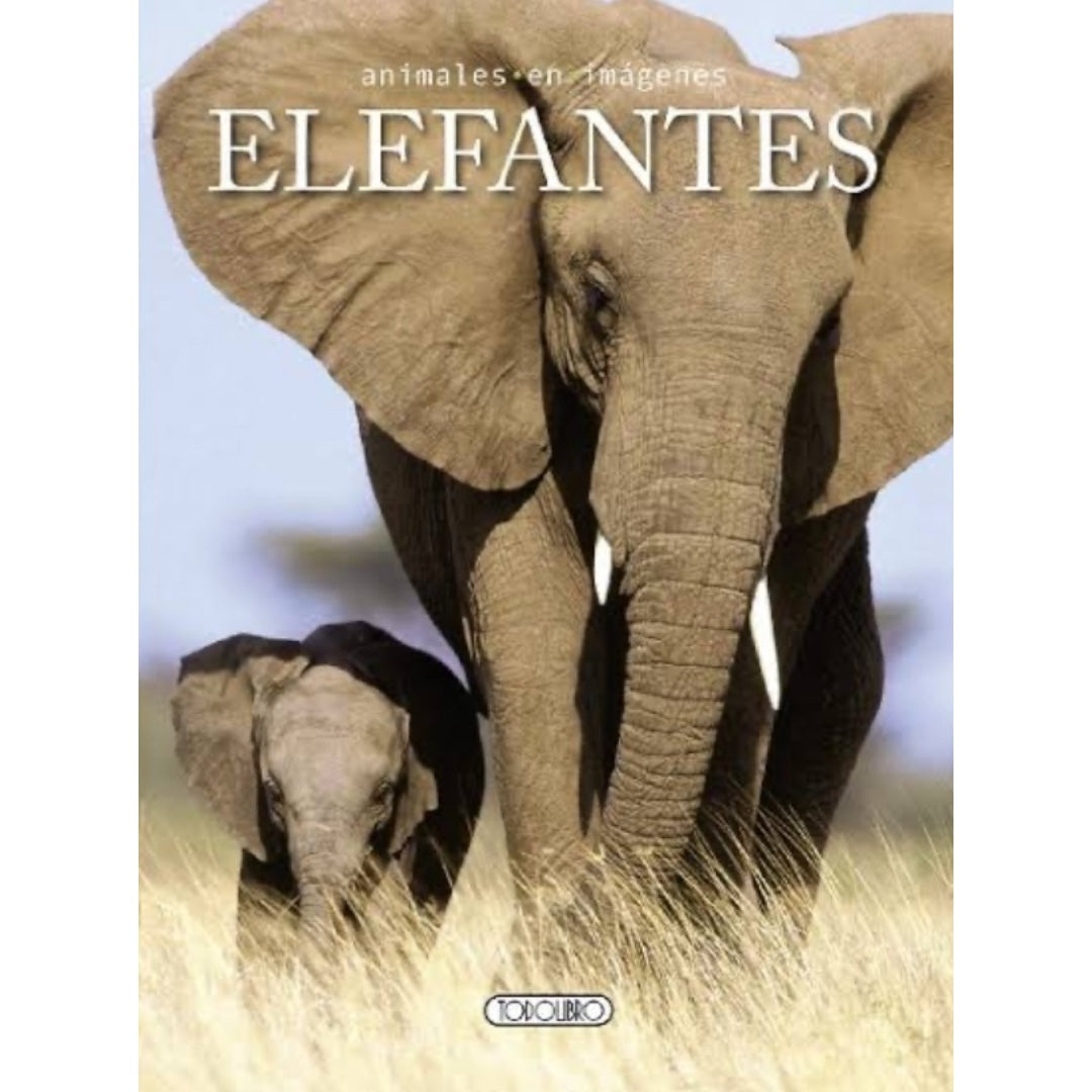 Elefantes