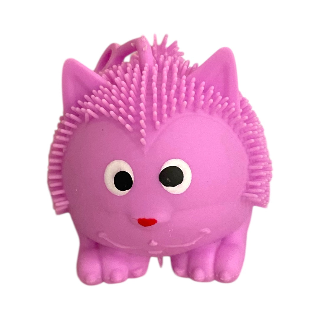 Squishy Luminoso Gato
