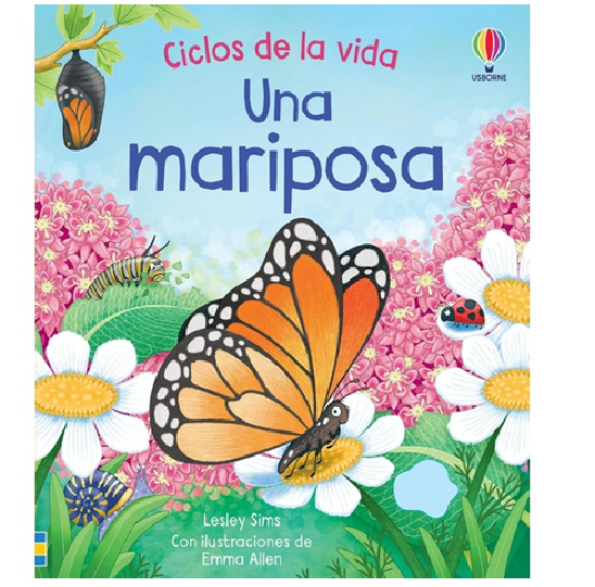 MARIPOSA CICLOS DE LA VIDA