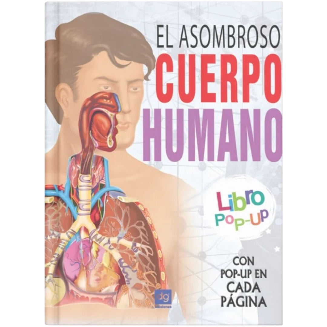Pop up: El cuerpo humano