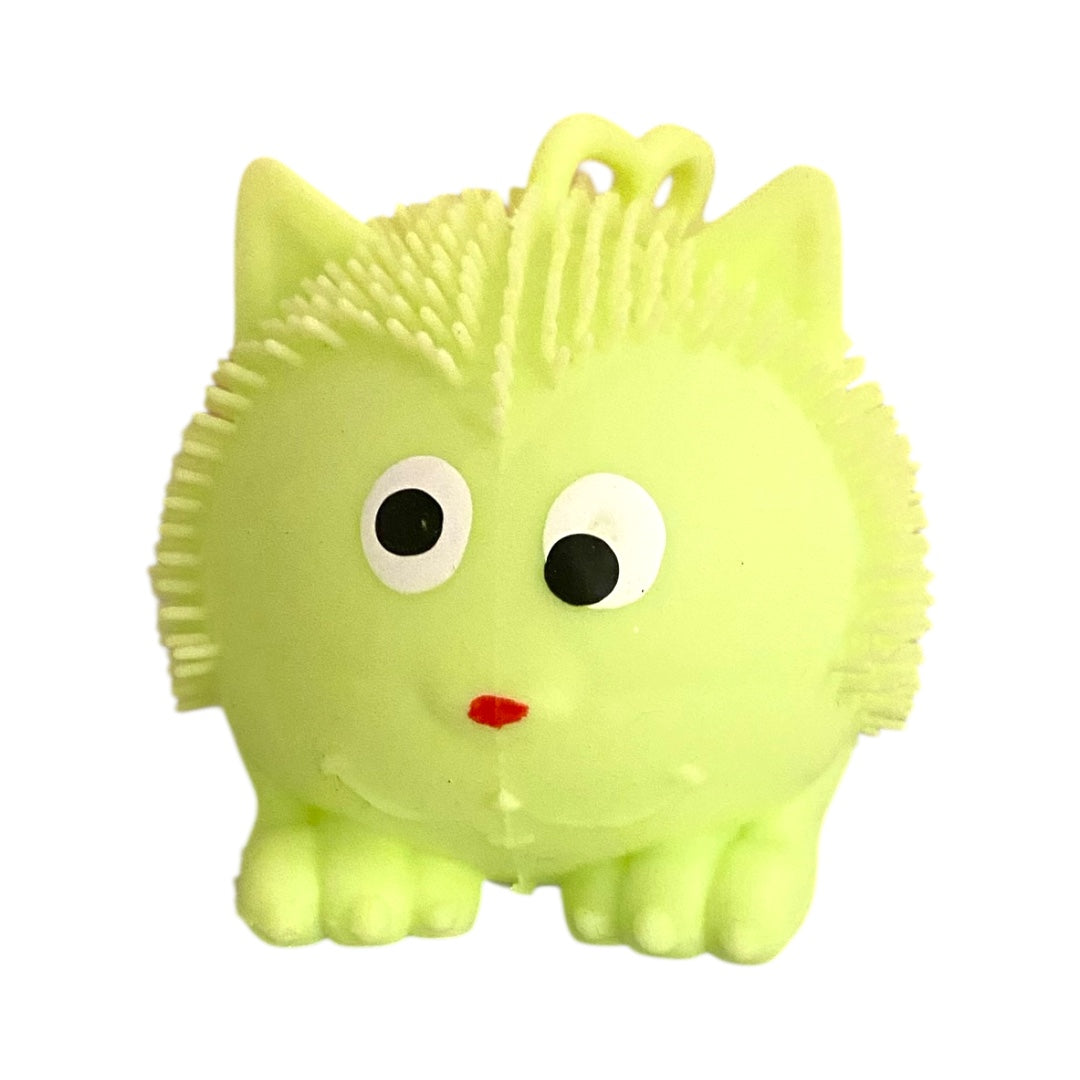 Squishy Luminoso Gato